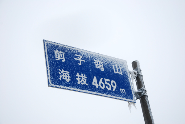 07-DSC_0041.JPG
