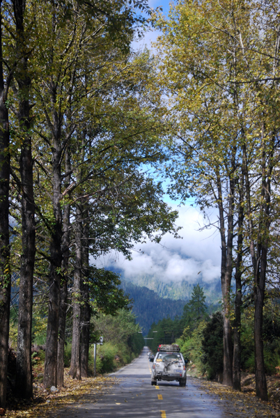 17-DSC_0216.JPG