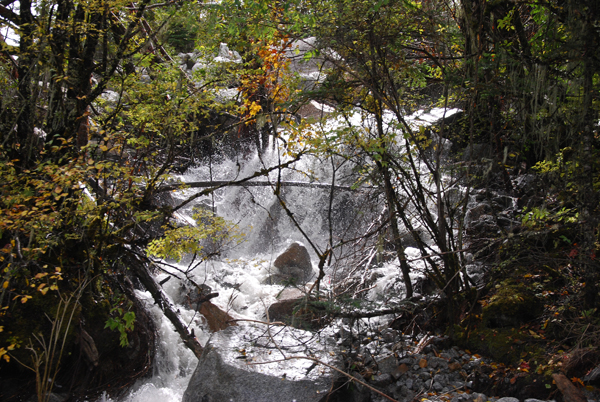 25-DSC_0343.JPG