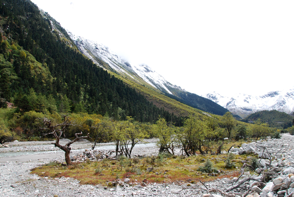 27-DSC_0369.JPG
