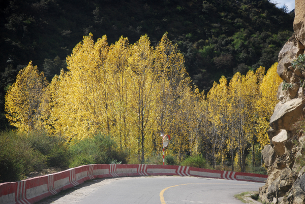 50-DSC_0822.JPG