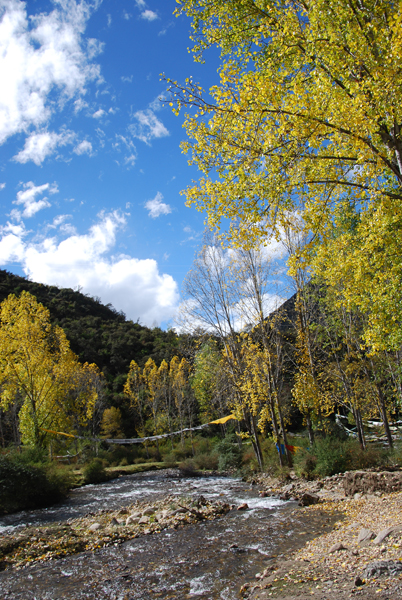 52-DSC_0827.JPG