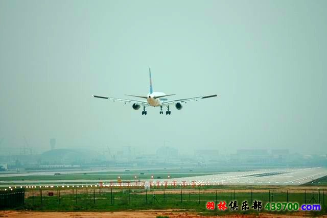 img_4704_conew1.jpg