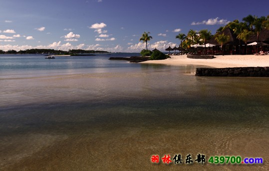 IMG_8600.jpg