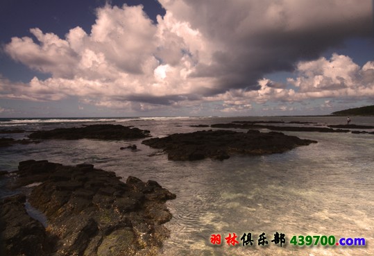 IMG_8782.jpg