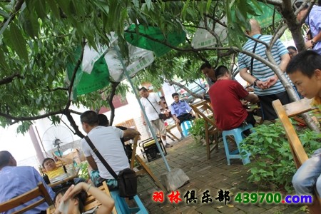 IMG_0613.jpg