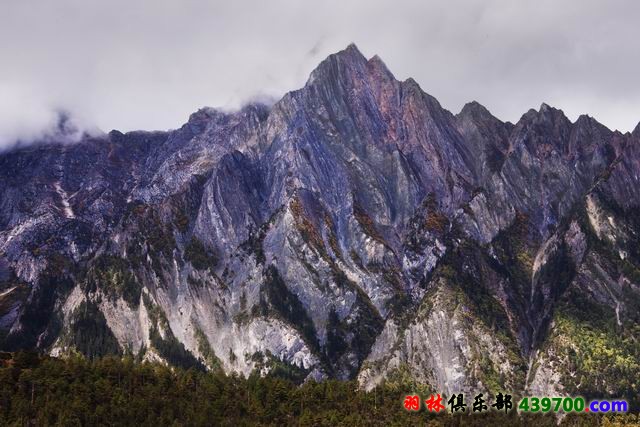 林芝波密藏东陡峭的深山峡谷_ZY_2576 副本.jpg