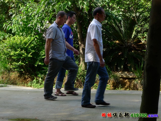 P1000080.jpg